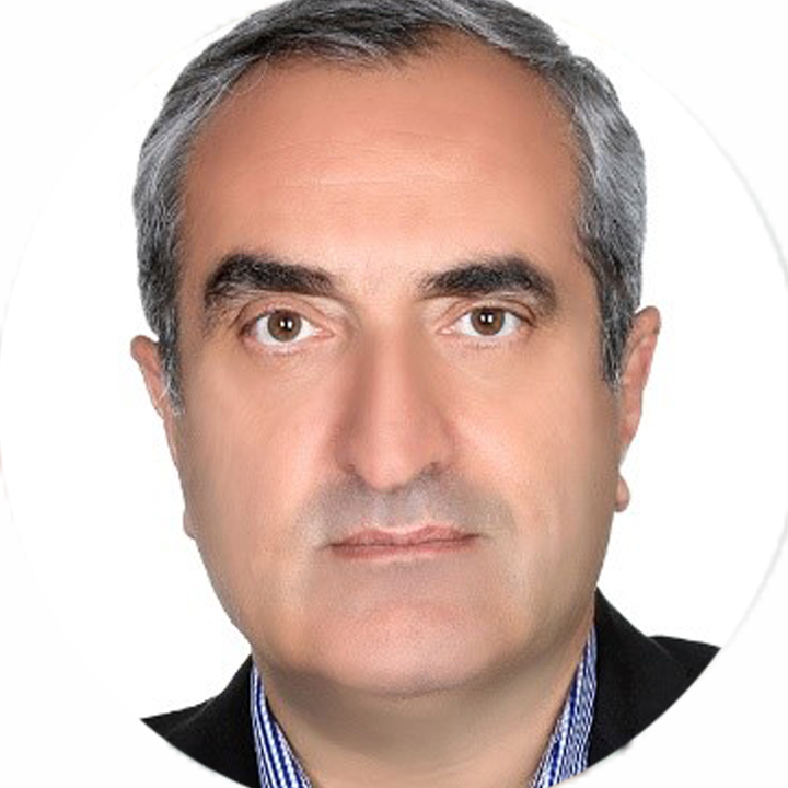 محسنی