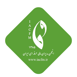 انجمن مدیران مالی